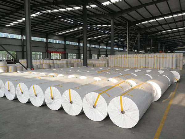 田林狭缝式涤纶纺粘无纺布